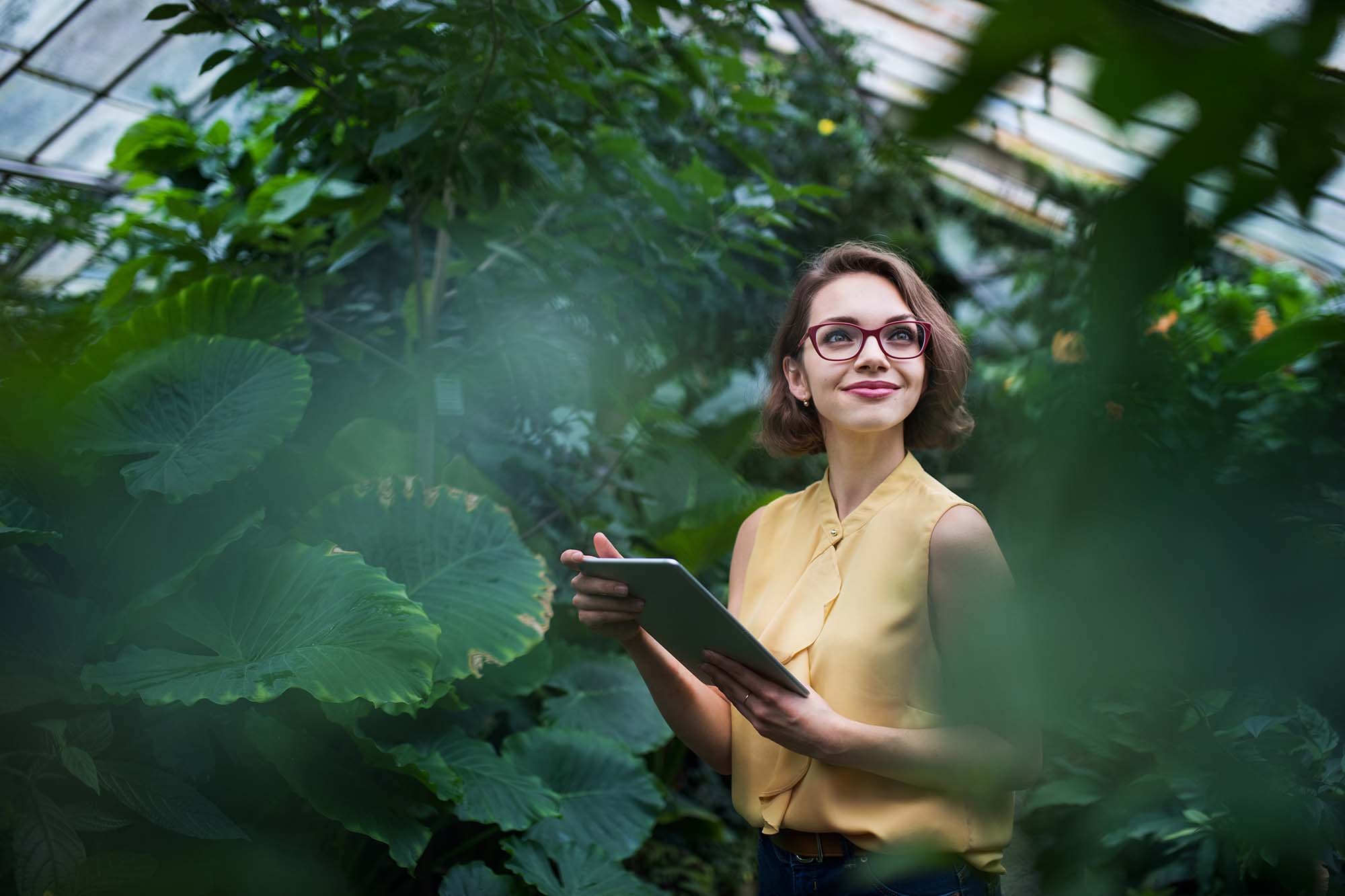 Cloud for Sustainability auttaa tallentamaan, raportoimaan ja pienentämään ympäristövaikutuksia